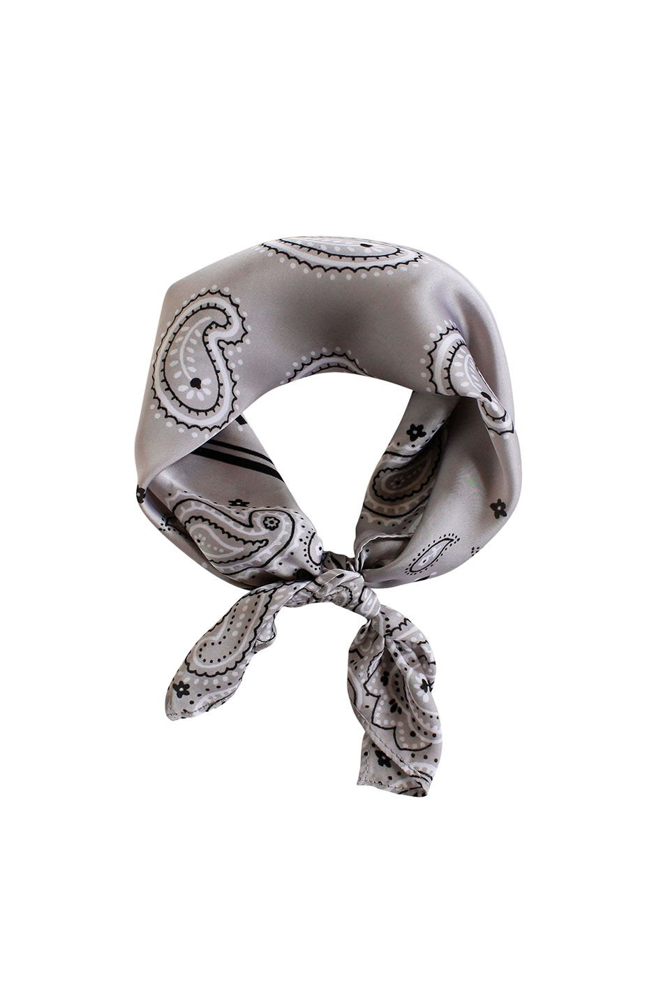 [TEST] Spaced Out Paisley Neckerchief