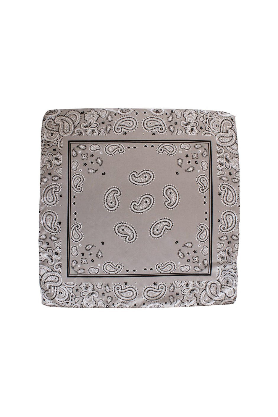 [TEST] Spaced Out Paisley Neckerchief