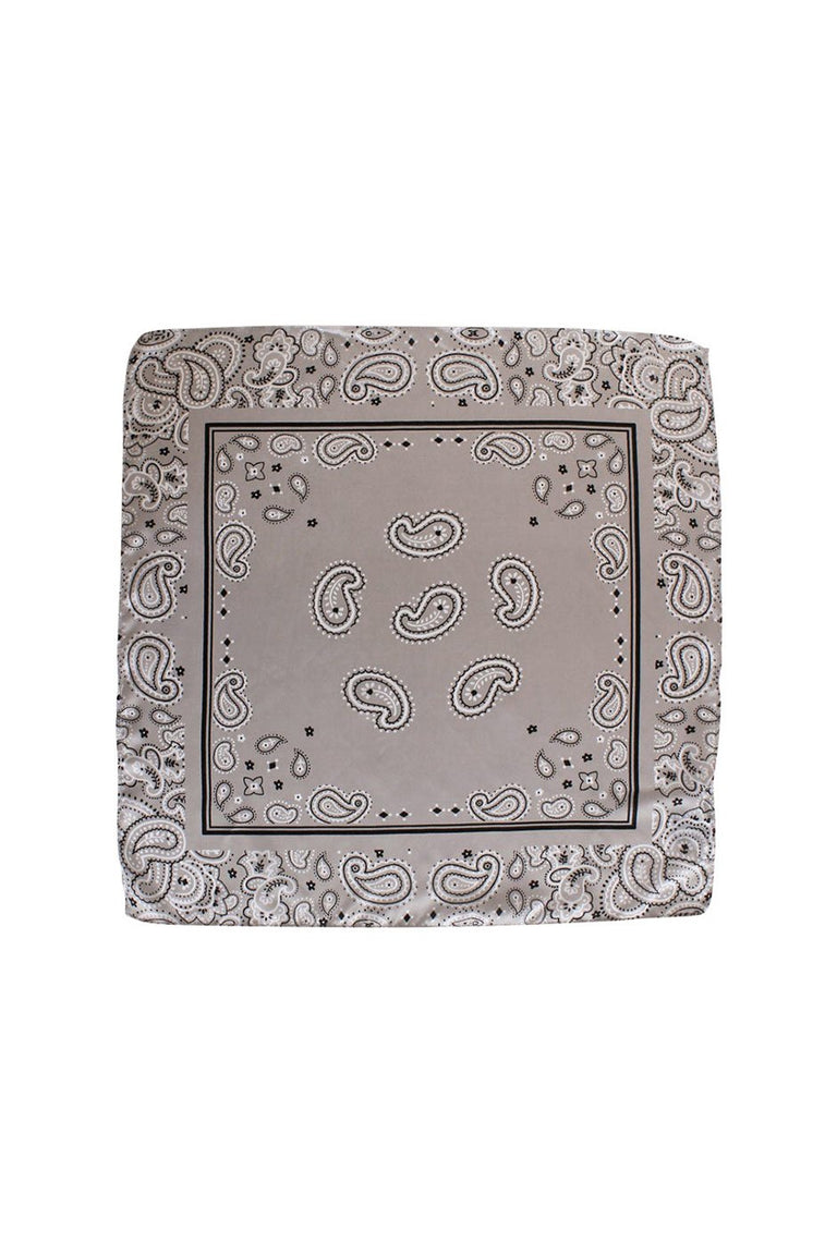 [TEST] Spaced Out Paisley Neckerchief