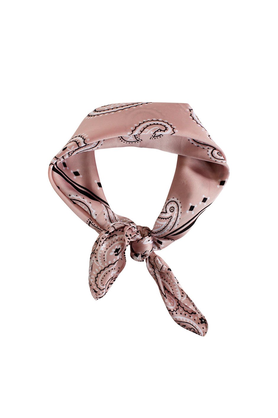 [TEST] Spaced Out Paisley Neckerchief