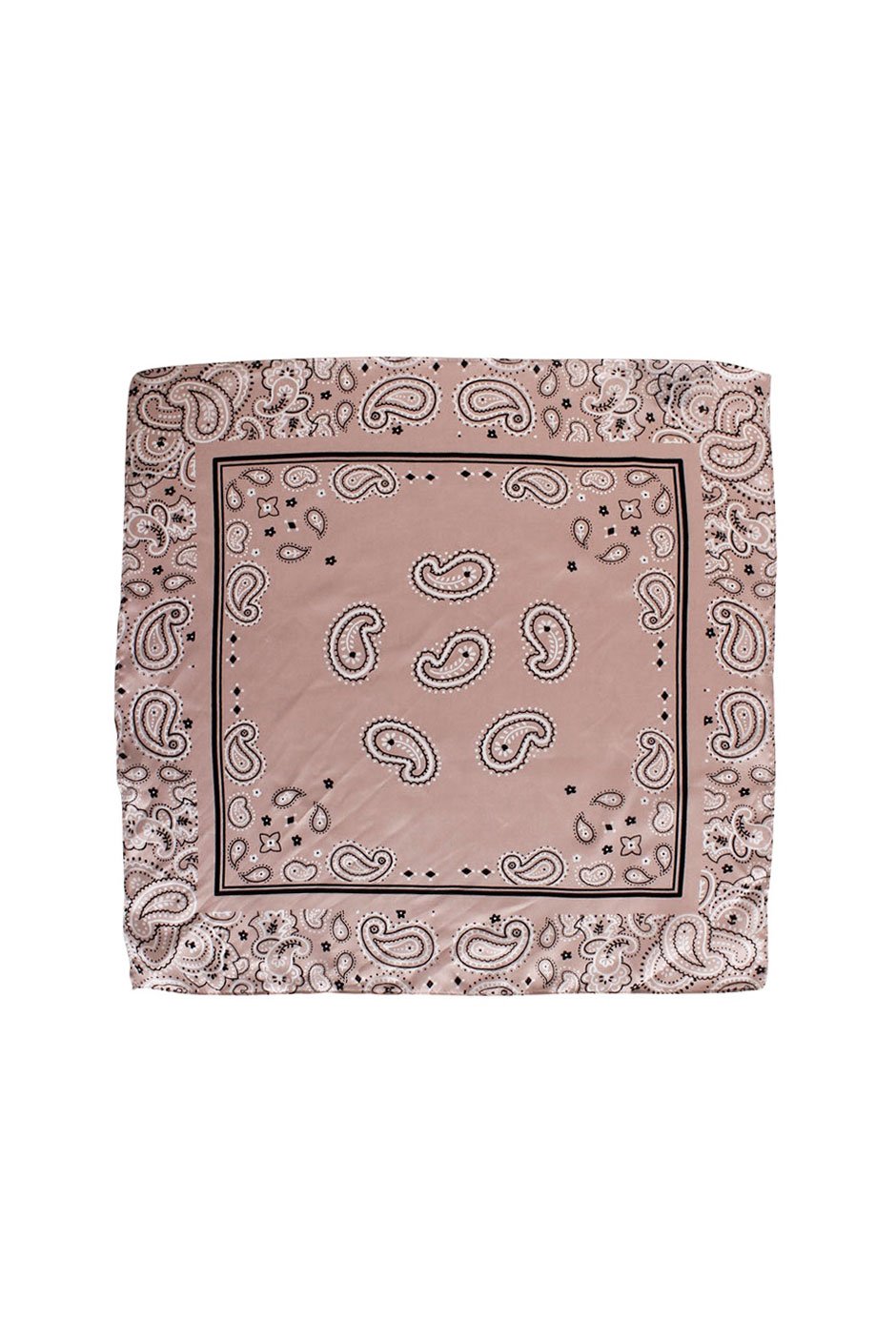 [TEST] Spaced Out Paisley Neckerchief