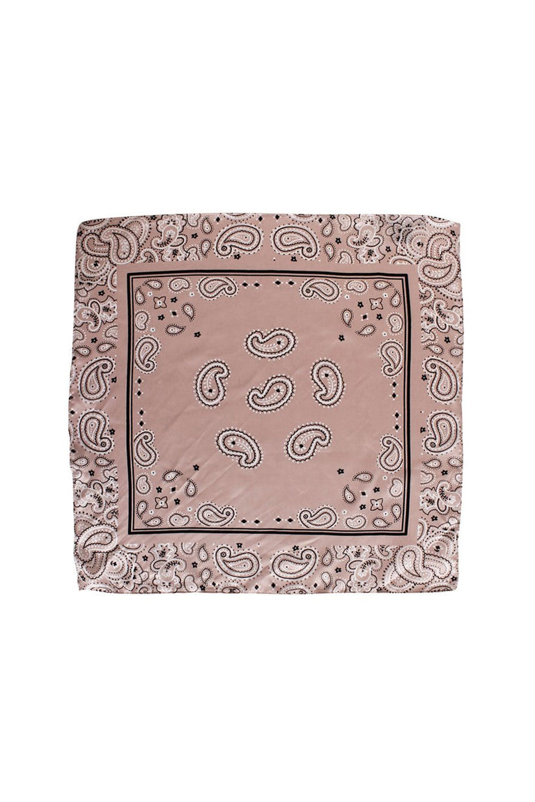 [TEST] Spaced Out Paisley Neckerchief